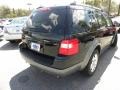 2007 Black Ford Freestyle SEL  photo #14