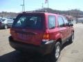 2007 Redfire Metallic Ford Escape XLS  photo #4