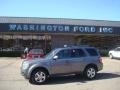 2009 Sterling Grey Metallic Ford Escape Limited 4WD  photo #1