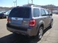 2009 Sterling Grey Metallic Ford Escape Limited 4WD  photo #4