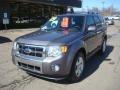 2009 Sterling Grey Metallic Ford Escape Limited 4WD  photo #11