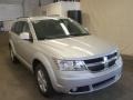 2010 Bright Silver Metallic Dodge Journey SXT  photo #10