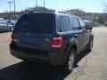 2008 Black Pearl Slate Metallic Ford Escape XLT V6  photo #4