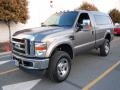 Sterling Grey Metallic - F350 Super Duty XLT Regular Cab 4x4 Photo No. 7