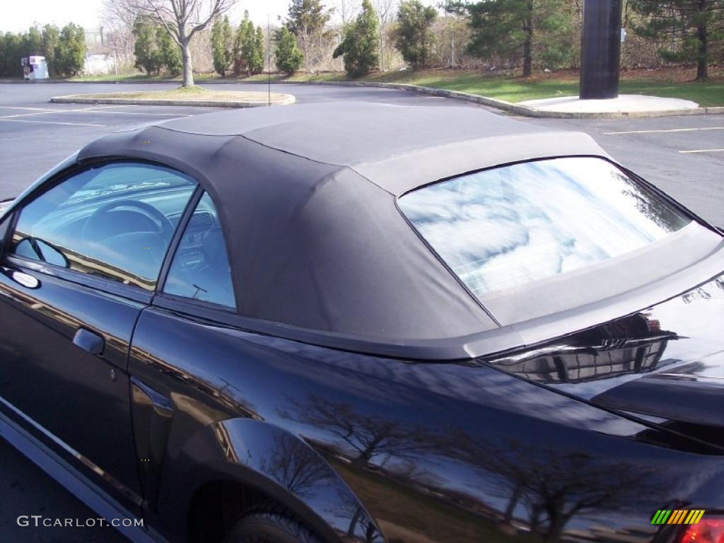 2001 Mustang V6 Convertible - Black / Dark Charcoal photo #4
