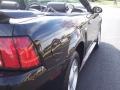 2001 Black Ford Mustang V6 Convertible  photo #17