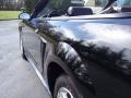 2001 Black Ford Mustang V6 Convertible  photo #30