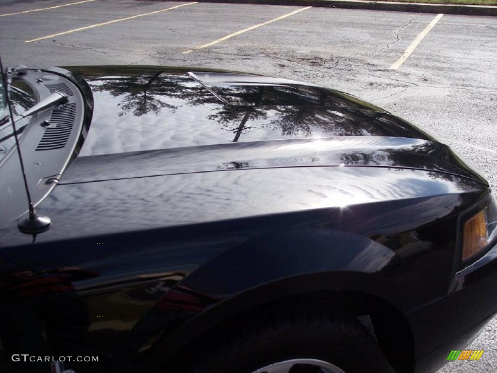 2001 Mustang V6 Convertible - Black / Dark Charcoal photo #34