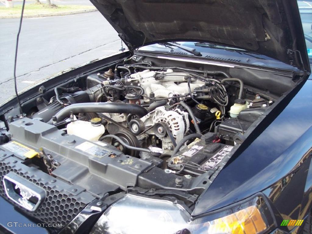 2001 Mustang V6 Convertible - Black / Dark Charcoal photo #58