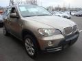Platinum Bronze Metallic - X5 4.8i Photo No. 7