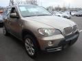 2007 Platinum Bronze Metallic BMW X5 4.8i  photo #7