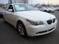 Alpine White - 5 Series 530xi Sedan Photo No. 7