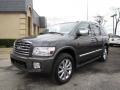 Silver Graphite Gray - QX 56 4WD Photo No. 3