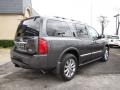 Silver Graphite Gray - QX 56 4WD Photo No. 6