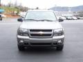 2009 Graystone Metallic Chevrolet TrailBlazer LT 4x4  photo #40