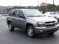 2009 Graystone Metallic Chevrolet TrailBlazer LT 4x4  photo #41