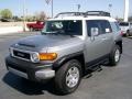 Silver Fresco Metallic - FJ Cruiser  Photo No. 2