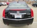 Black Raven - CTS 3.0 Sedan Photo No. 6