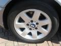 2004 Silver Grey Metallic BMW 3 Series 325i Sedan  photo #4