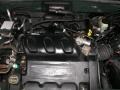 2002 Dark Highland Green Metallic Ford Escape XLT V6 4WD  photo #10