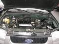 2002 Dark Highland Green Metallic Ford Escape XLT V6 4WD  photo #11