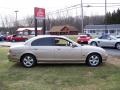 Topaz Beige - S-Type 3.0 Photo No. 6