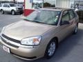 2005 Light Driftwood Metallic Chevrolet Malibu Maxx LS Wagon  photo #18