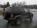 2005 Black Clearcoat Jeep Liberty Renegade 4x4  photo #4