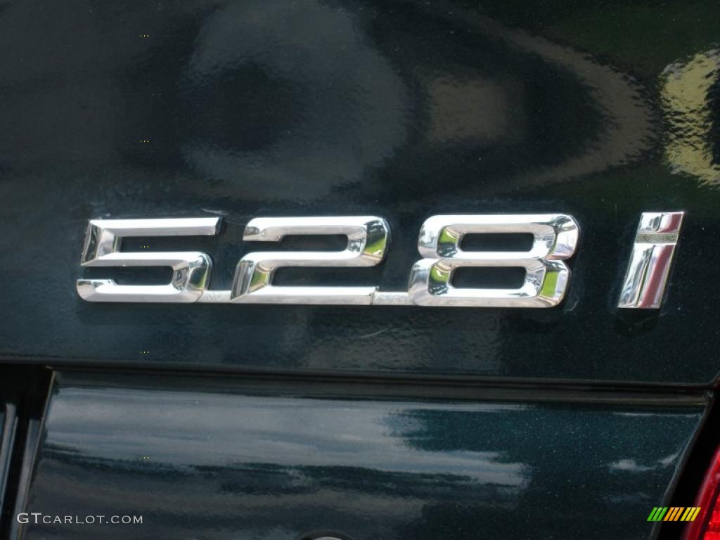 1998 5 Series 528i Sedan - Oxford Green Metallic / Beige photo #9