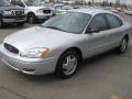 2006 Silver Frost Metallic Ford Taurus SE  photo #8