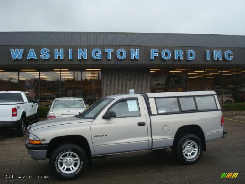2000 Dakota Regular Cab 4x4 - Light Driftwood Satin Glow / Mist Gray photo #1