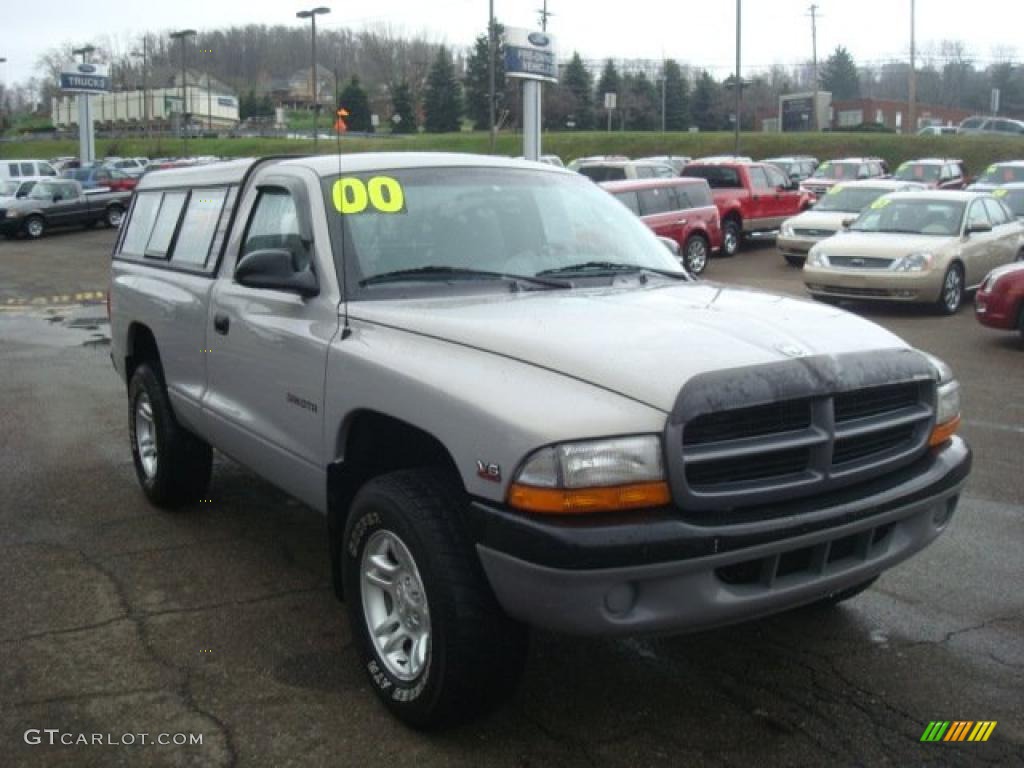 2000 Dakota Regular Cab 4x4 - Light Driftwood Satin Glow / Mist Gray photo #6