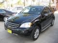 Black - ML 350 4Matic Photo No. 7