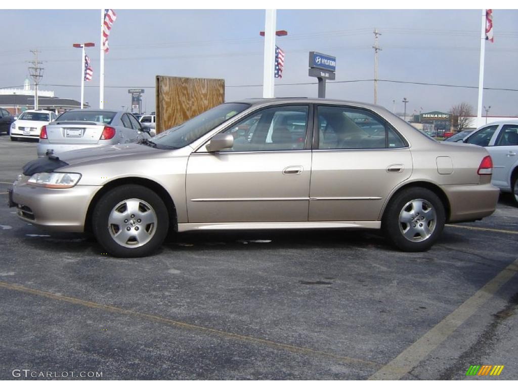 2002 Accord EX V6 Sedan - Naples Gold Metallic / Ivory photo #2