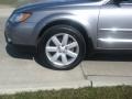 2009 Quartz Silver Metallic Subaru Outback 2.5i Special Edition Wagon  photo #14