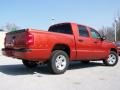 2008 Sunburst Orange Pearl Dodge Dakota SLT Crew Cab 4x4  photo #8