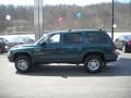 1999 Forest Green Pearlcoat Dodge Durango SLT 4x4  photo #5