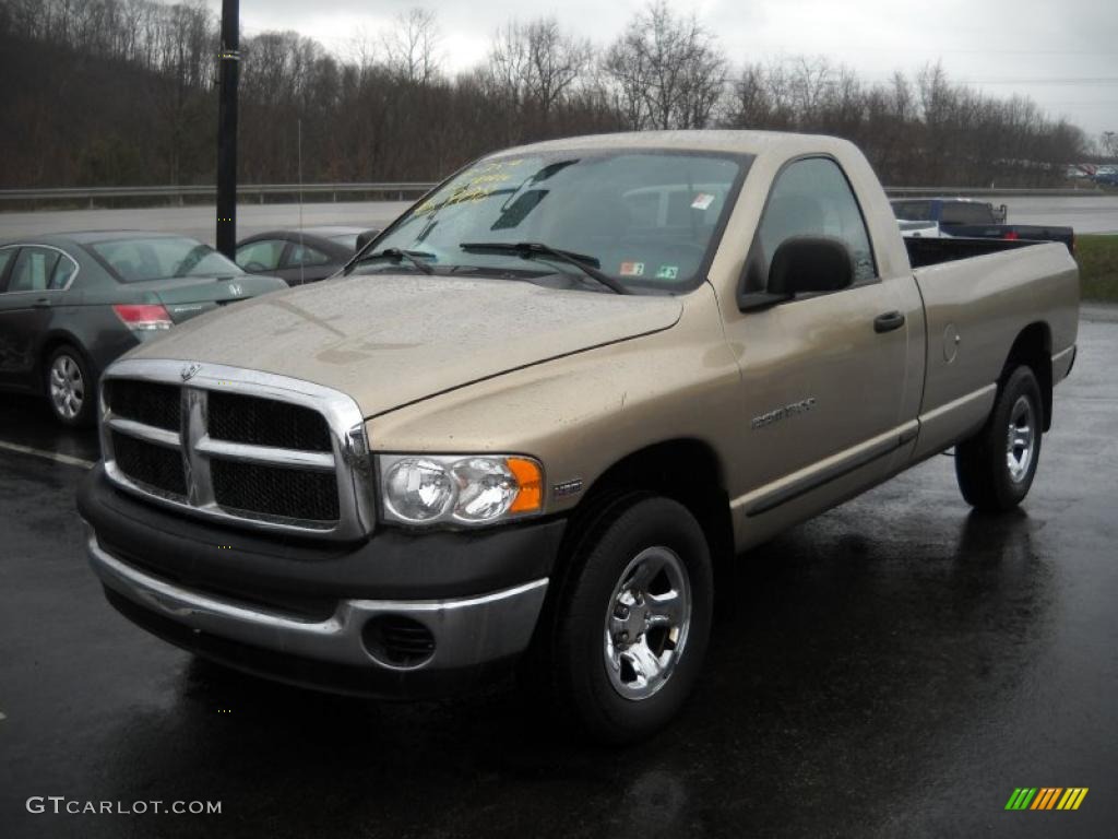 2004 Ram 1500 SLT Regular Cab 4x4 - Light Almond Pearl / Dark Slate Gray photo #11