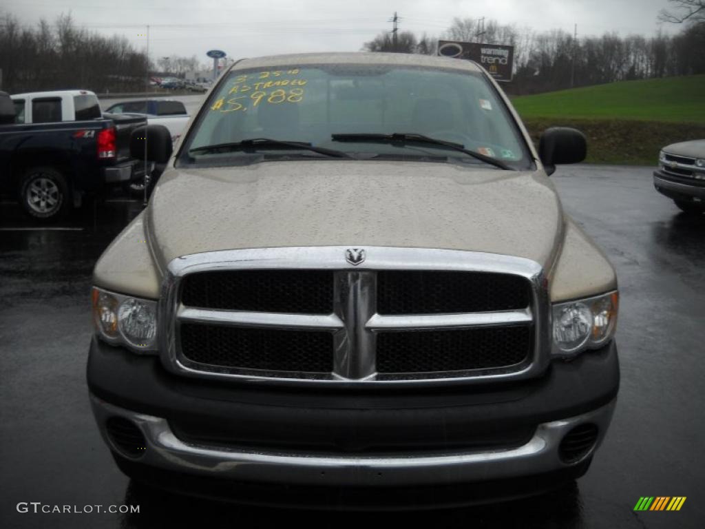 2004 Ram 1500 SLT Regular Cab 4x4 - Light Almond Pearl / Dark Slate Gray photo #12