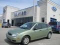 2007 Kiwi Green Metallic Ford Focus ZX5 SE Hatchback  photo #1