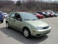 Kiwi Green Metallic - Focus ZX5 SE Hatchback Photo No. 4