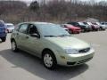 2007 Kiwi Green Metallic Ford Focus ZX5 SE Hatchback  photo #4