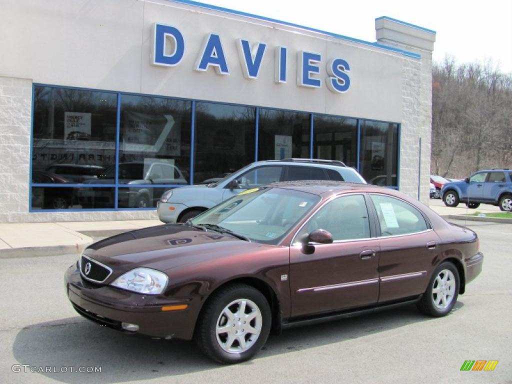 Chestnut Metallic Mercury Sable