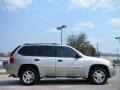 Liquid Silver Metallic - Envoy SLE Photo No. 4