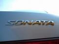 Silver Blue Metallic - Sonata GLS V6 Photo No. 9