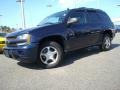 Imperial Blue Metallic - TrailBlazer LS Photo No. 2