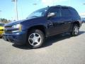 2007 Imperial Blue Metallic Chevrolet TrailBlazer LS  photo #2