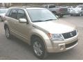 Clear Beige Metallic - Grand Vitara Luxury 4x4 Photo No. 19