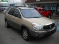 Light Driftwood Metallic 2004 Buick Rendezvous CX