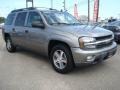 2006 Graystone Metallic Chevrolet TrailBlazer EXT LS 4x4  photo #8